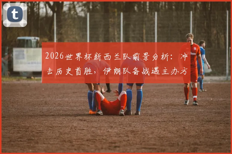 2026世界杯新西兰队前景分析：冲击历史首胜，伊朗队备战遇主办方挑战最新消息解读