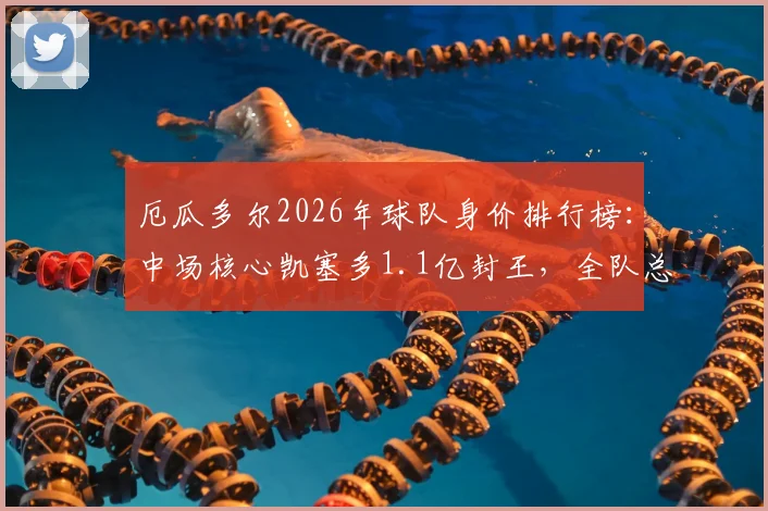厄瓜多尔2026年球队身价排行榜:中场核心凯塞多1.1亿封王,全队总估值接近4亿欧元